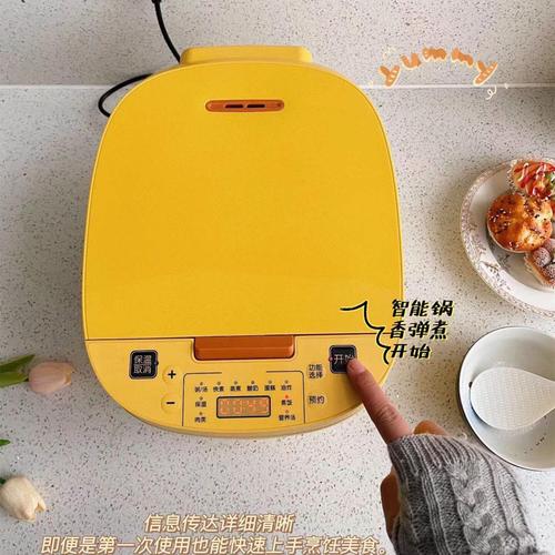 智能5升大容量电饭煲 家用烹饪与礼品批发的优选厂家指南